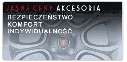 Strona g��wna